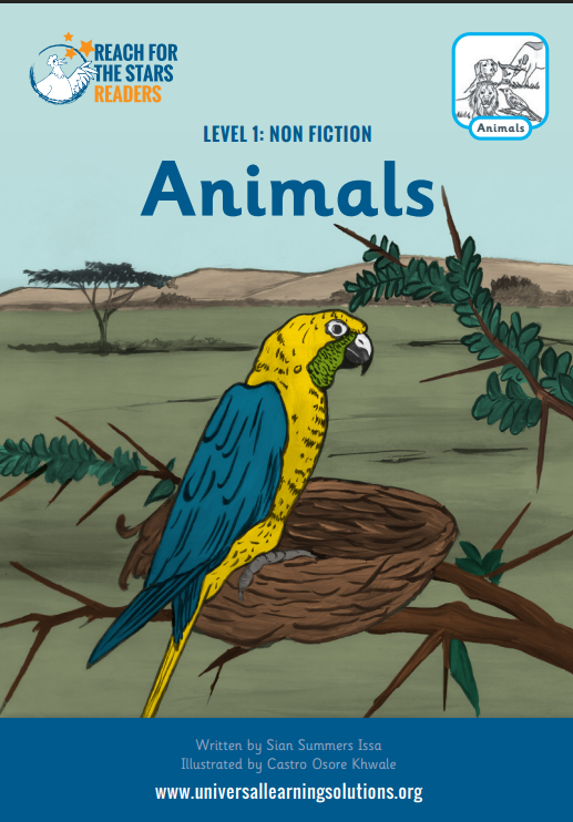 Level 1 ‘Reach for the Stars’ Decodable Readers – Complete Set (10 Books)